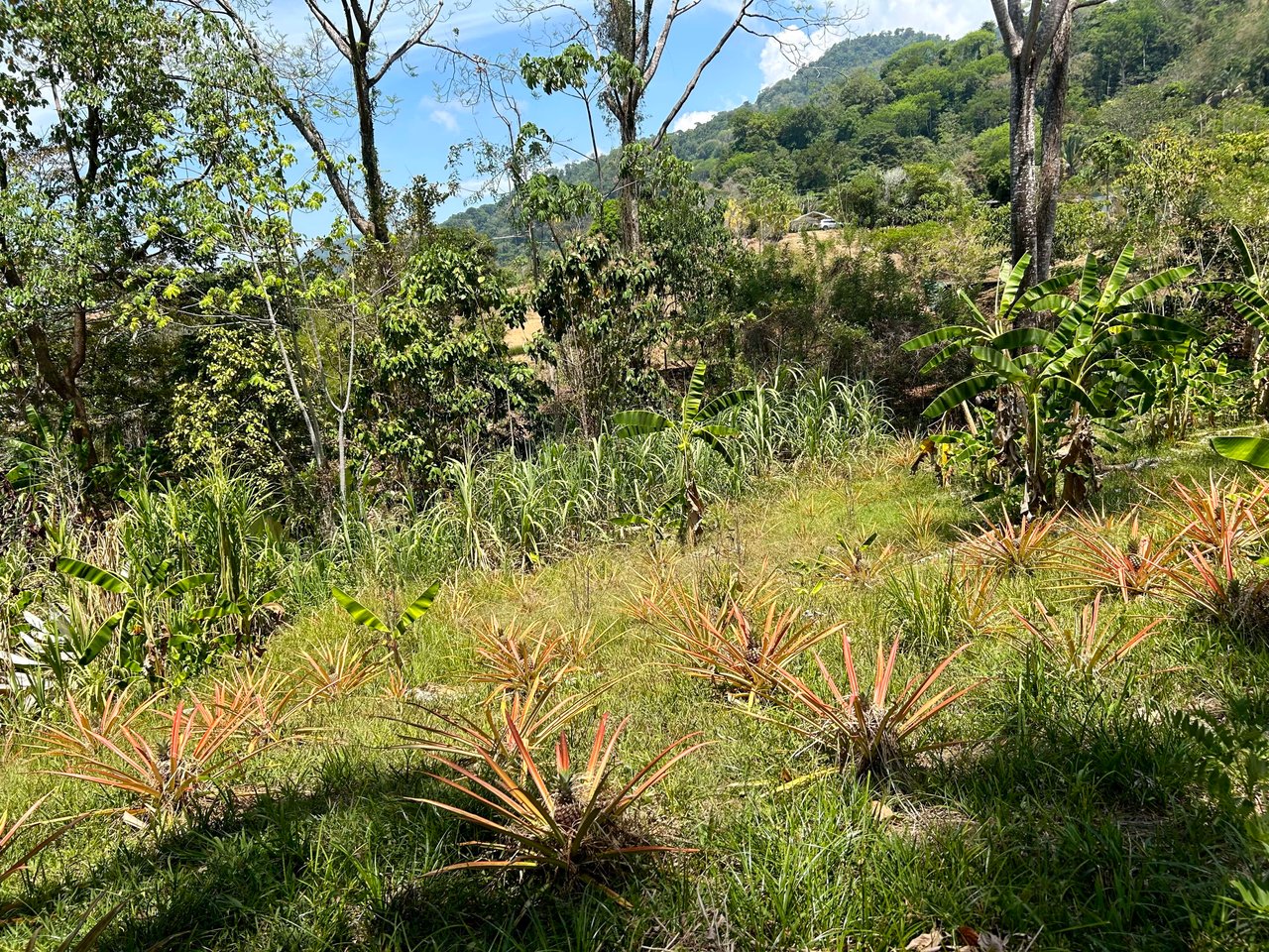 Great Location Land Parcel in Playa Hermosa