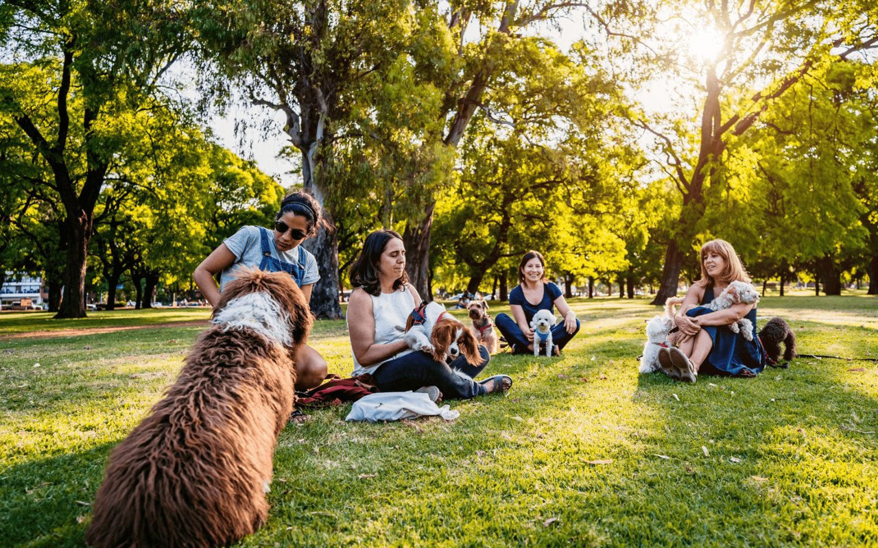 Pet-Friendly Parks In Simcoe County