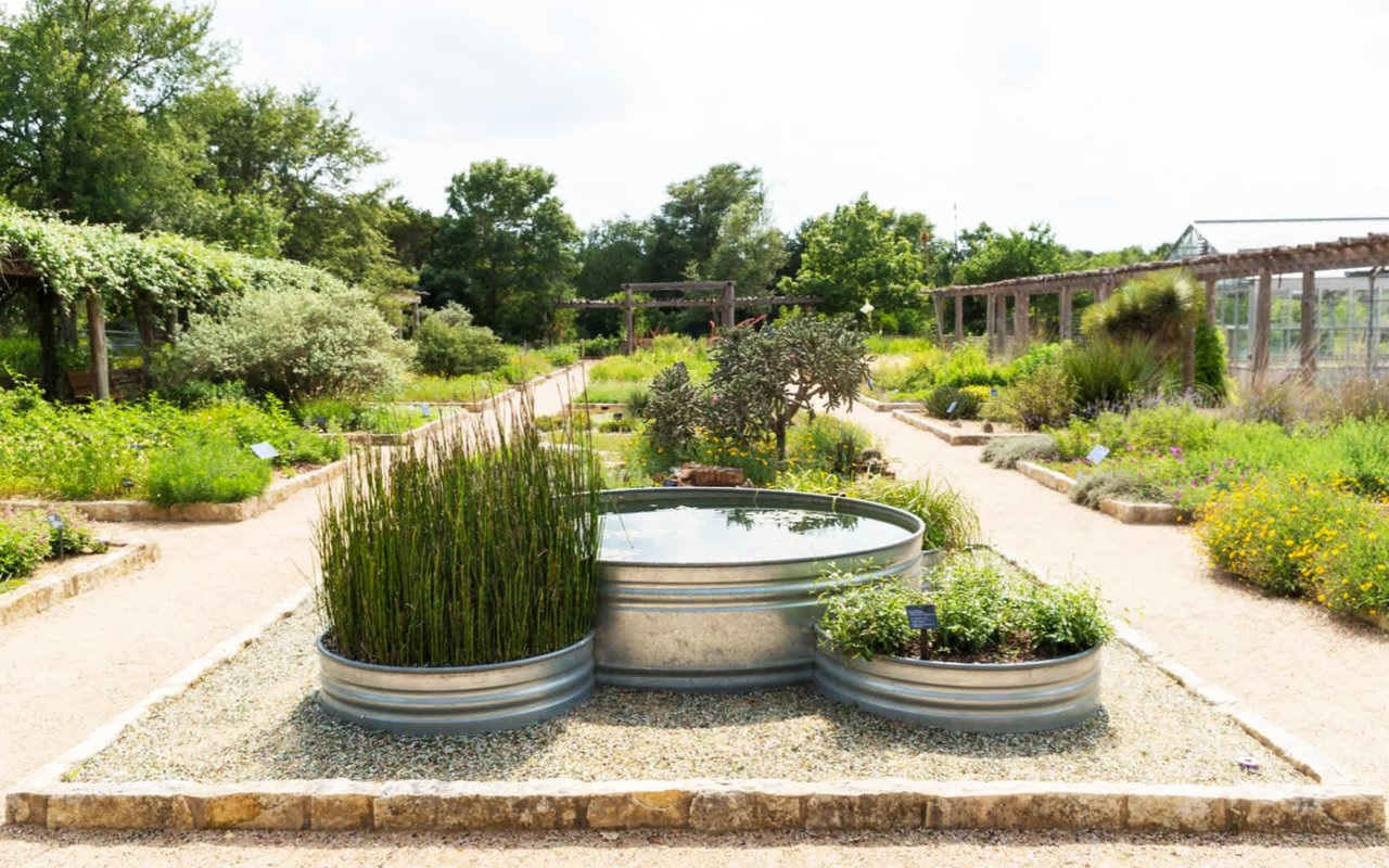 Mark Your Calendar: July 2019 Events in Austin