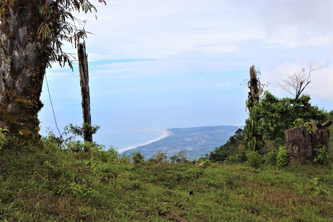 Ocean View Development Farms, Uvita, Puntarenas