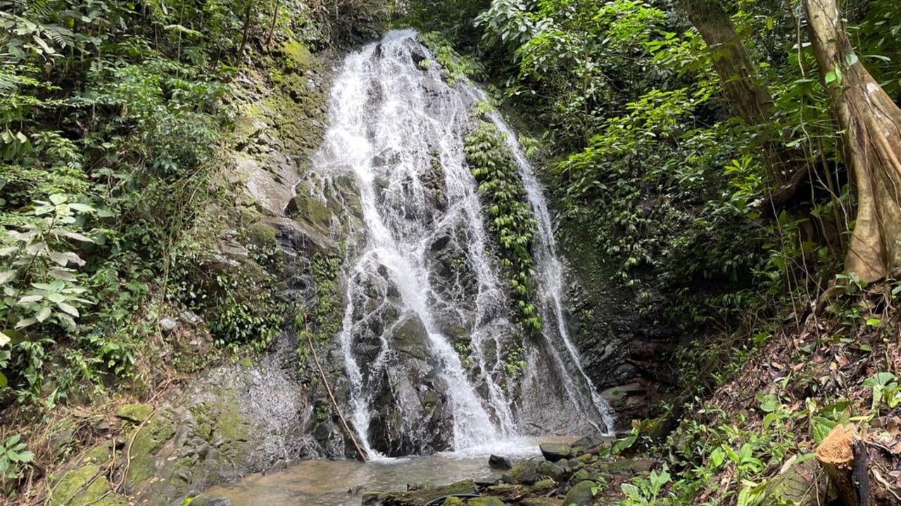 Waterfall Ocean View Estate, Ojochal, Puntarenas