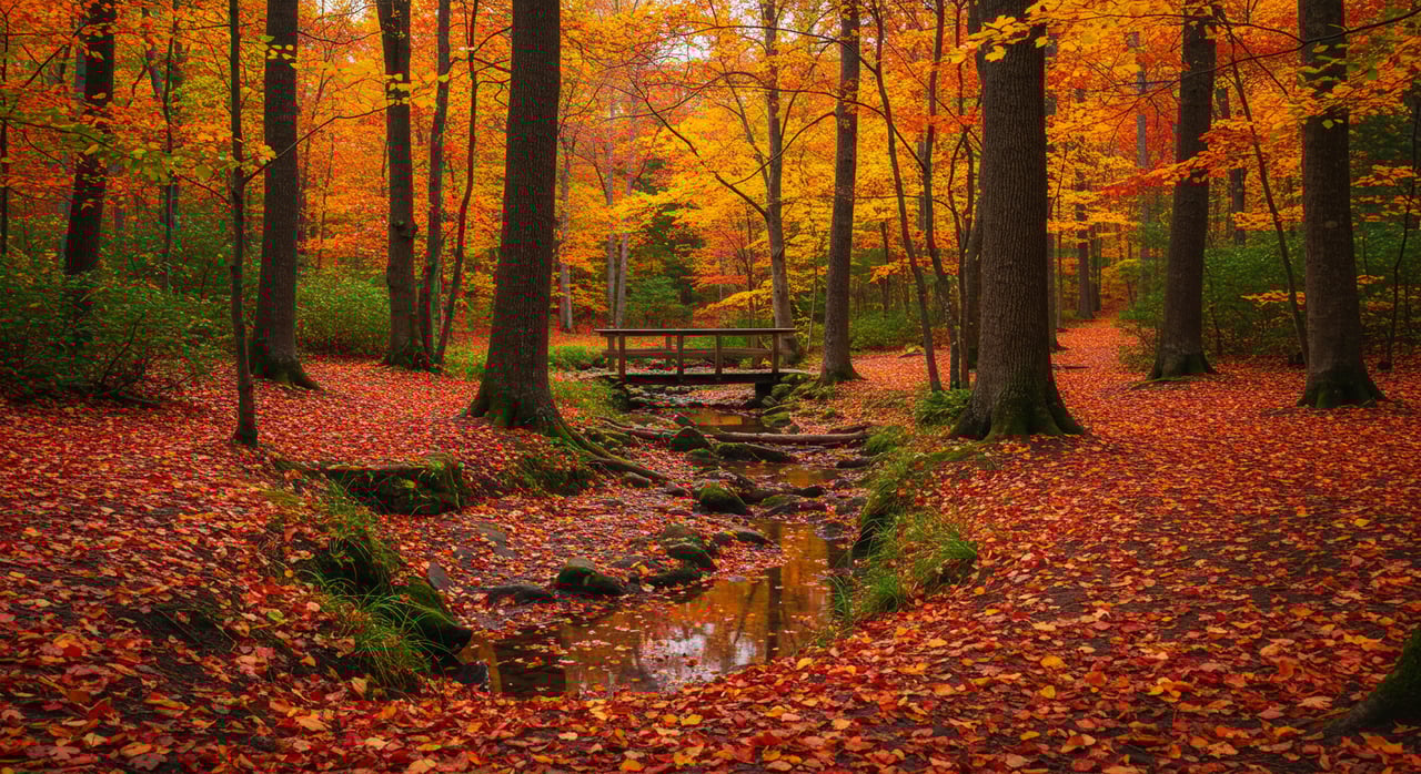 How to Prepare Your Home for Fall and Winter Care