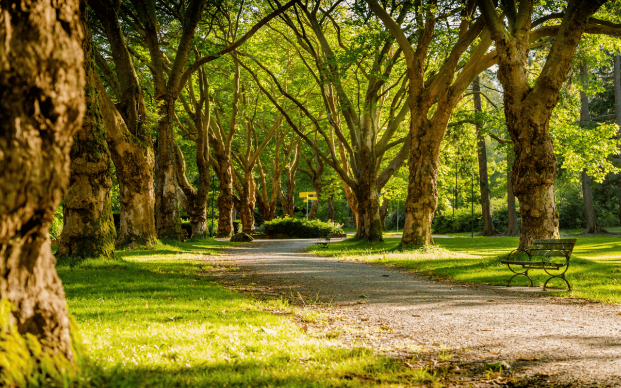 A Guide to Berkeley Parks