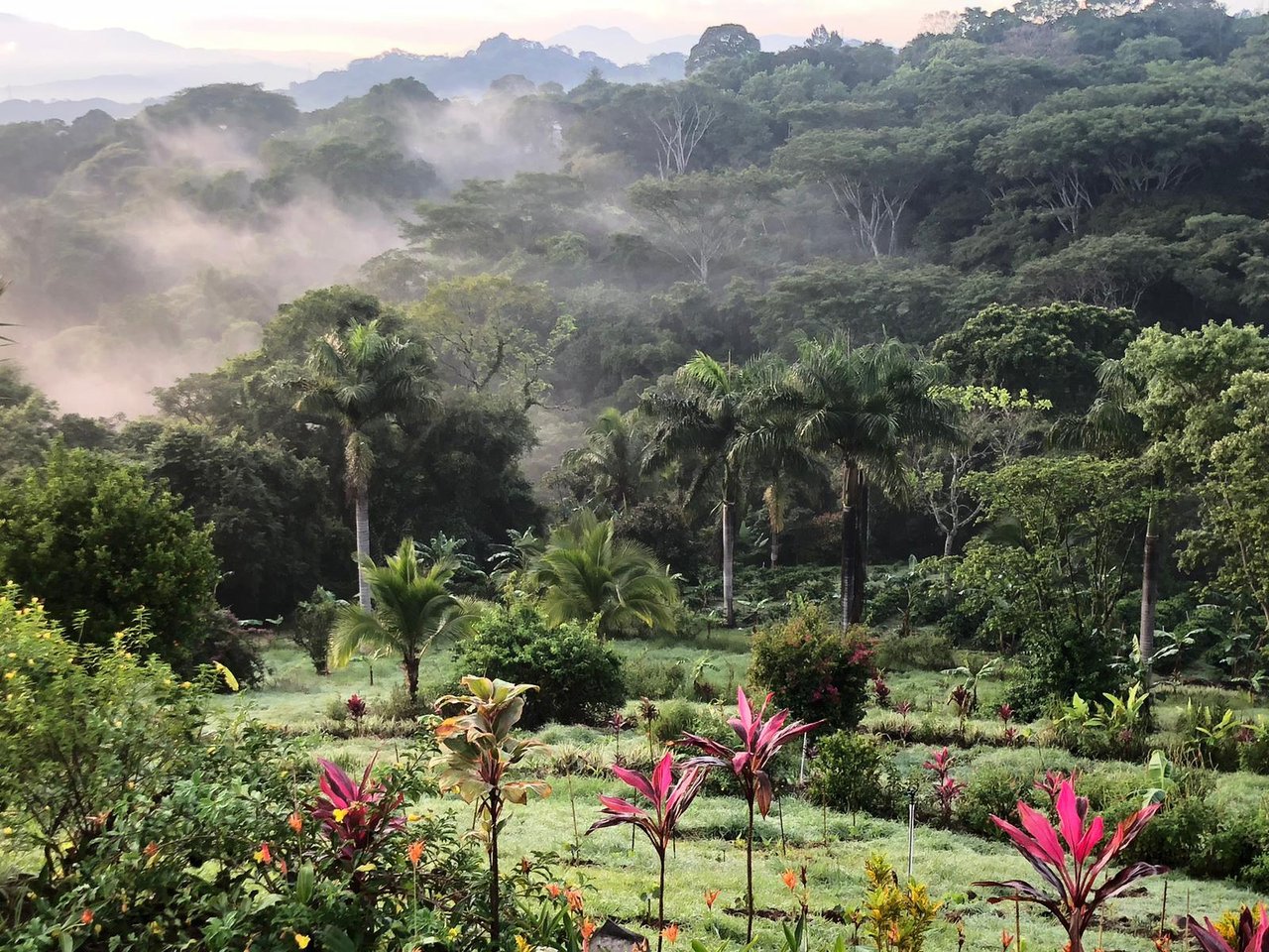 Waterfall Coffee Estate Villa, Atenas, Alajuela