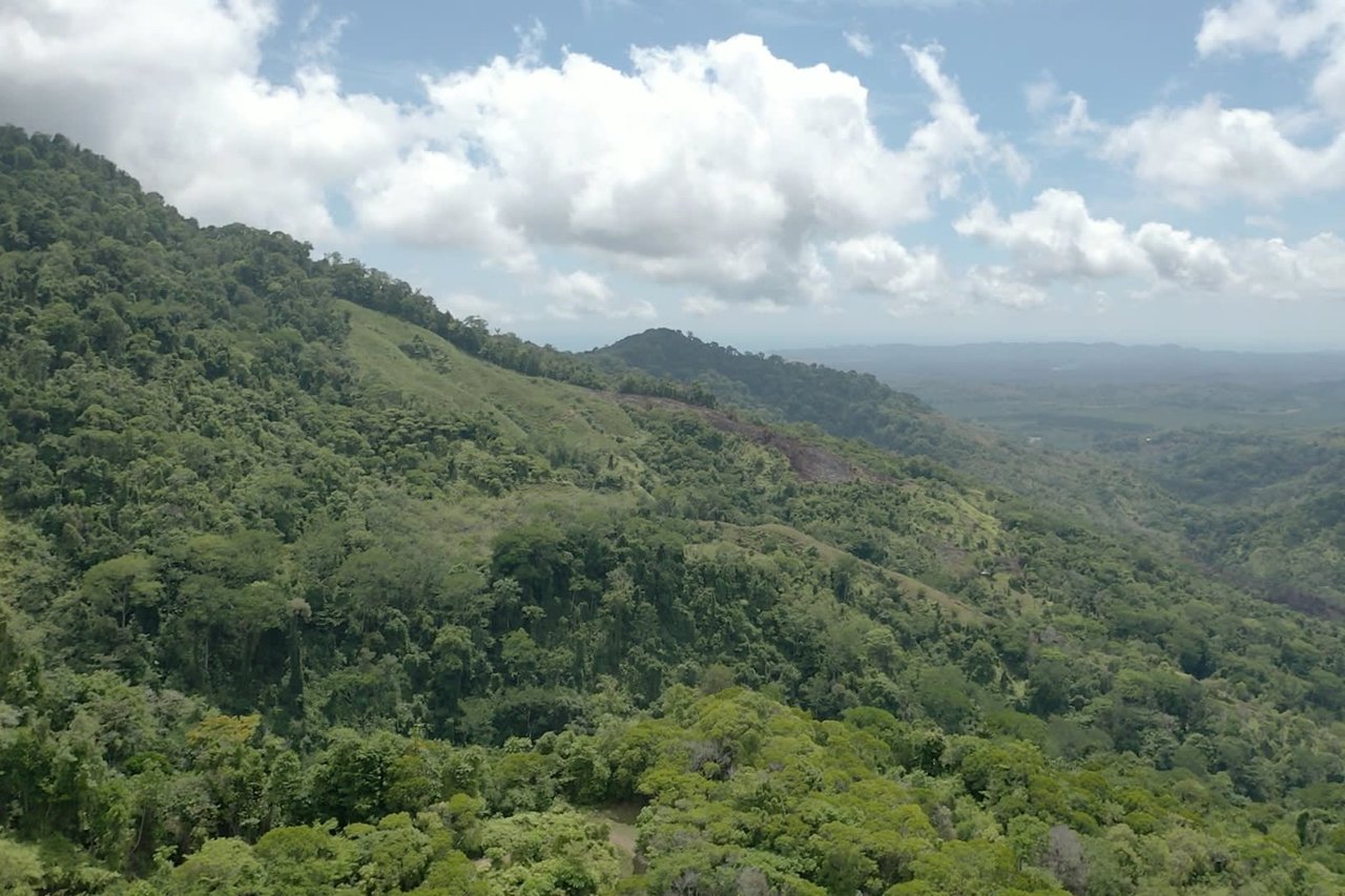 42 Acres With Waterfalls, Ocean Views & Multiple Building Sites Sliencio Ariba