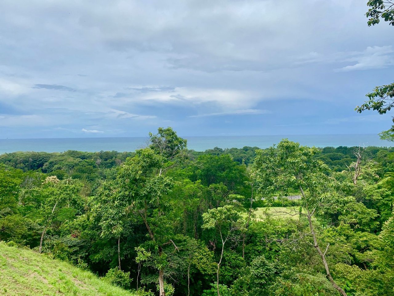 Triple Waterfall Ocean View Land, Dominical, Puntarenas