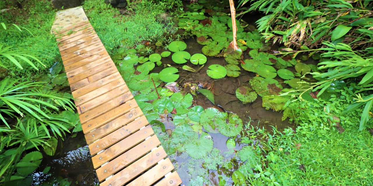 Riverfront Boutique Jungle Hotel, Ojochal, Puntarenas