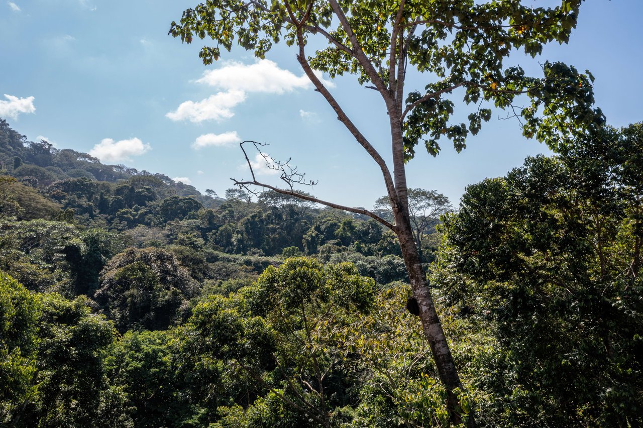 Secluded Ocean view Land in Dominical, Costa Rica