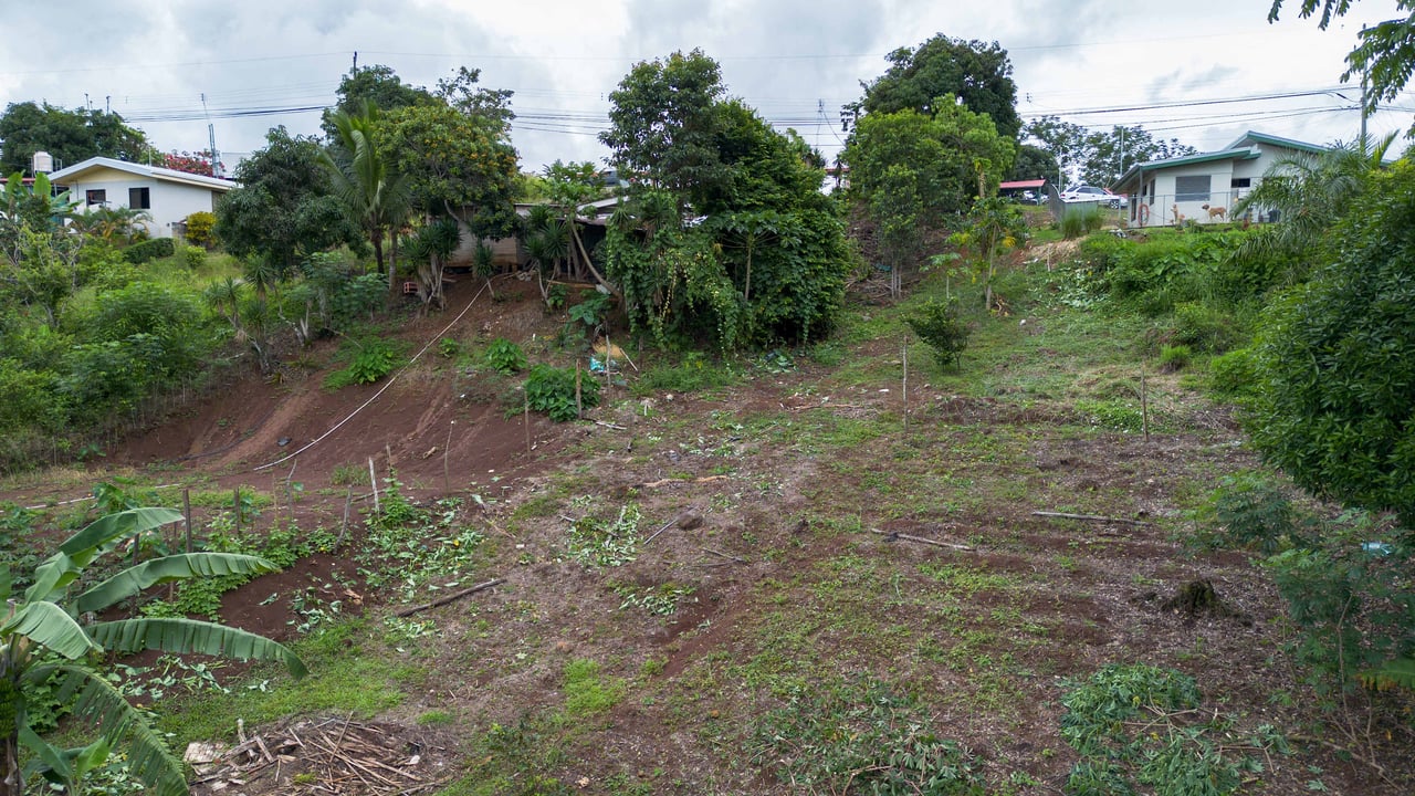  2.5 Acres of Fertile Land with Creek, Ready to Build