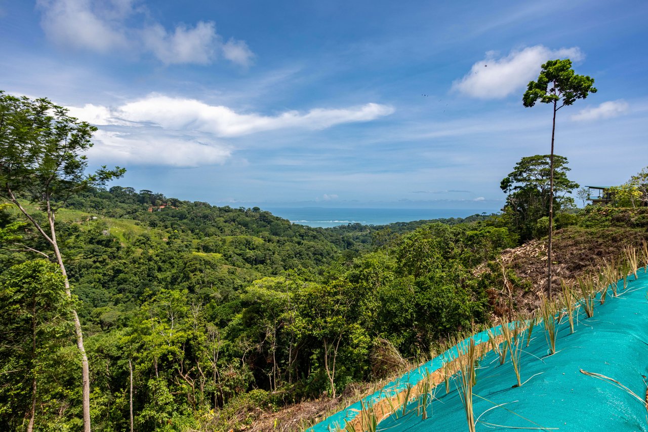 Stunning Oceanview Lot in the sought-after Uvita Hills Community