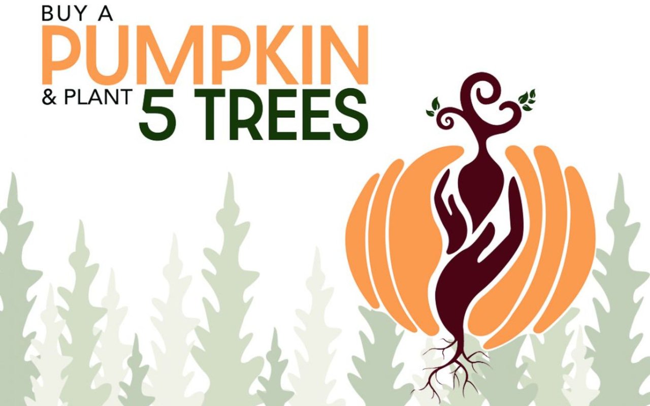 Pumpkin Season Treats for Trees cover