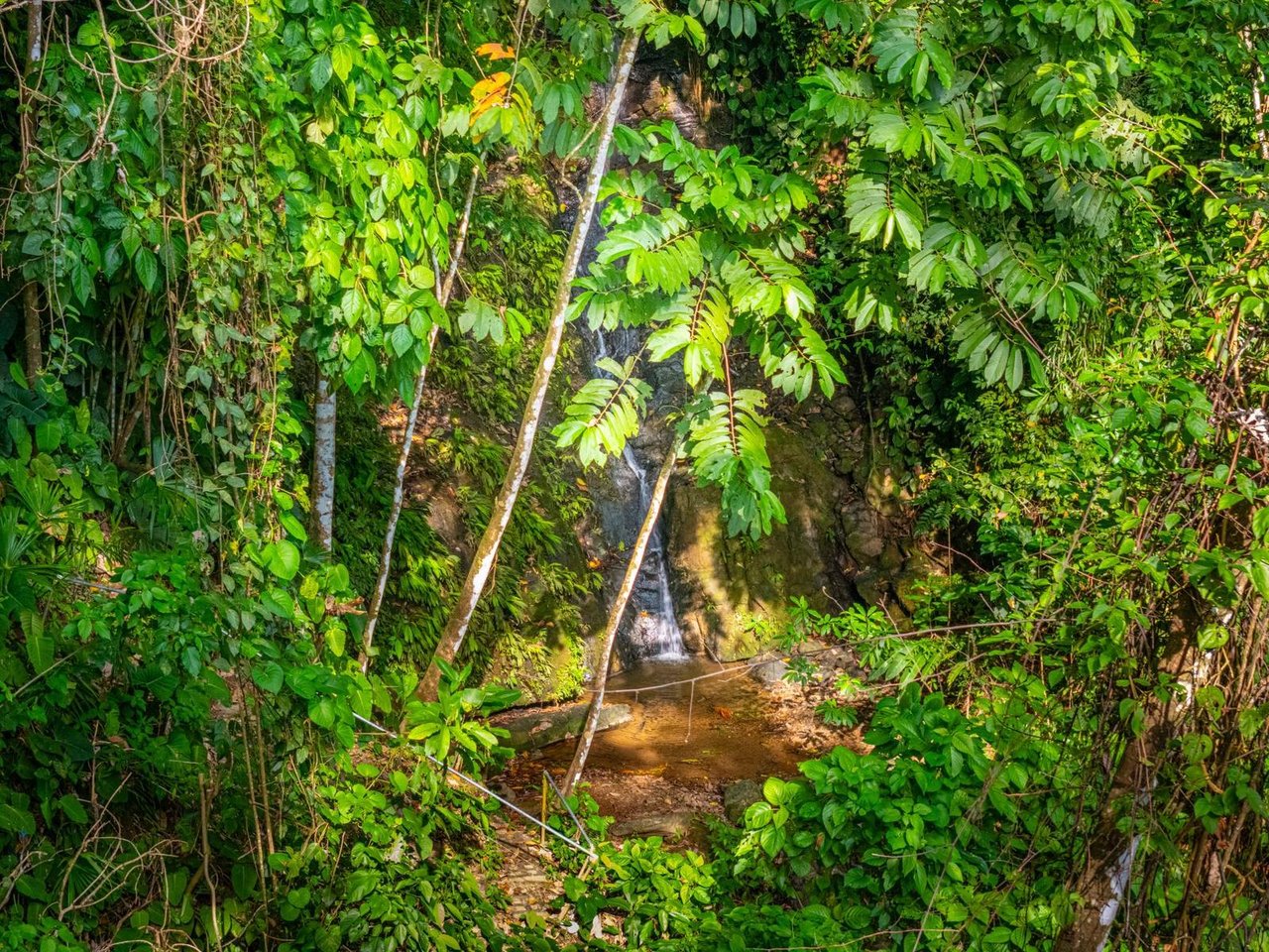 Panoramic Oceanview Luxury Estate, Uvita, Puntarenas