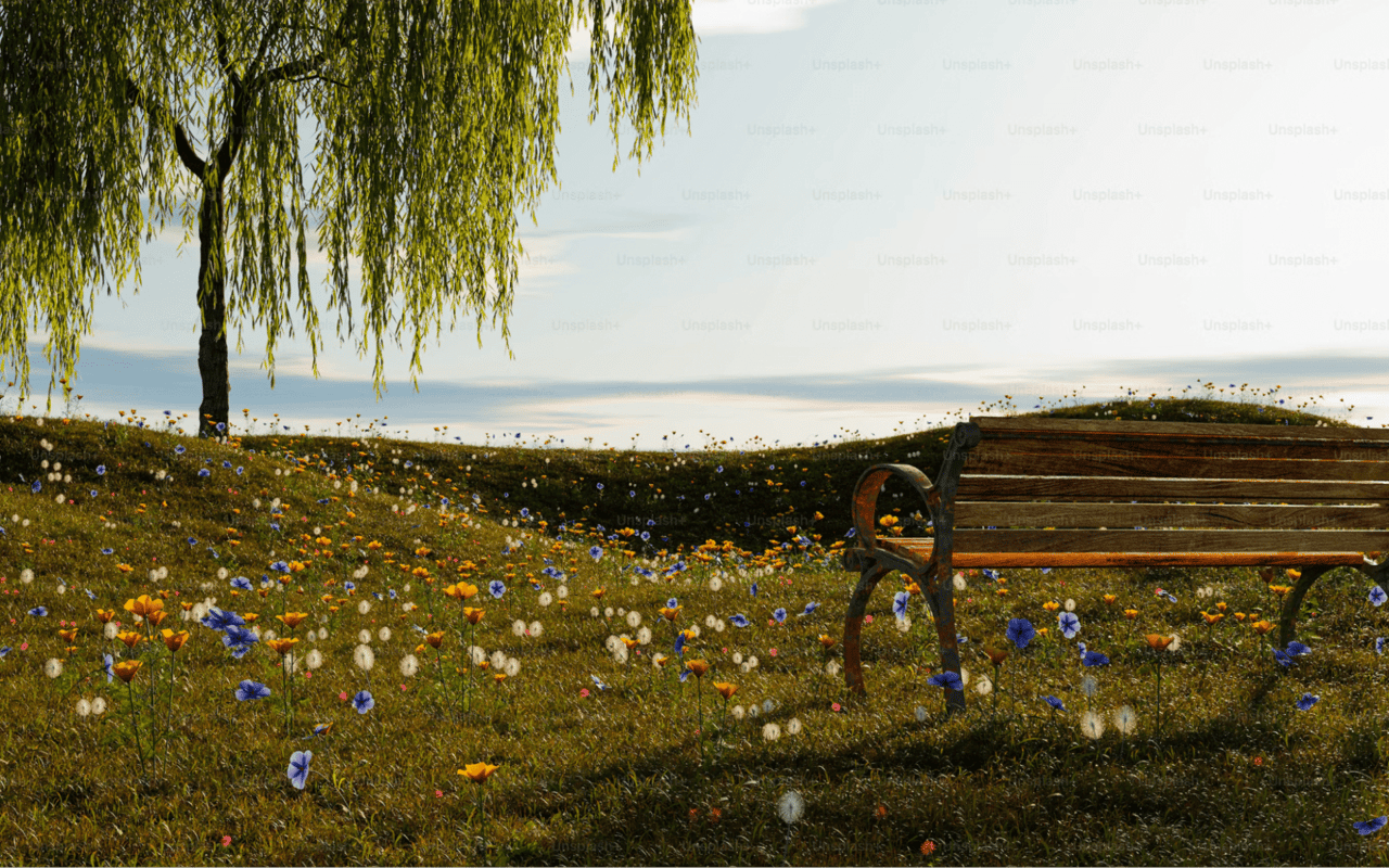 Explore the Hidden Gems: Things to Do in Wheat Ridge