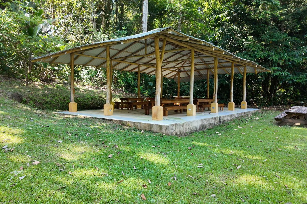 Modern Tropical Jungle Villa, Manuel Antonio, Puntarenas