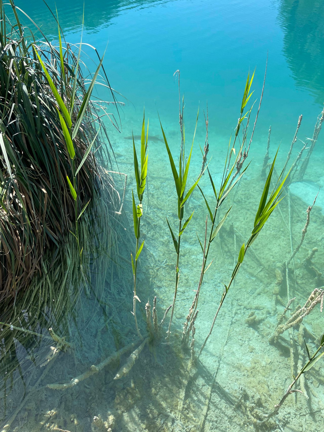 Plitvice Lakes