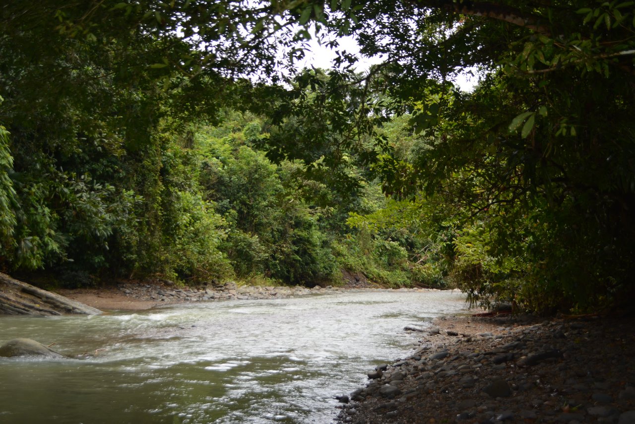 27.6 Acres On The Rio Morenos