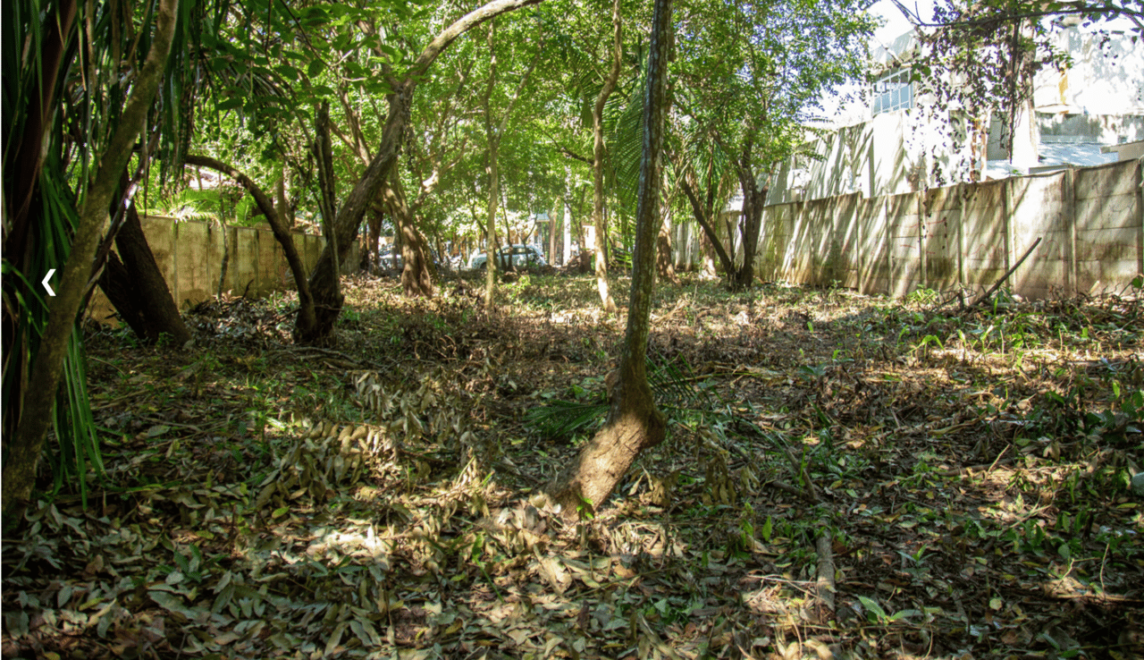 Refuge Bordering Commercial Land, Nosara, Guanacaste