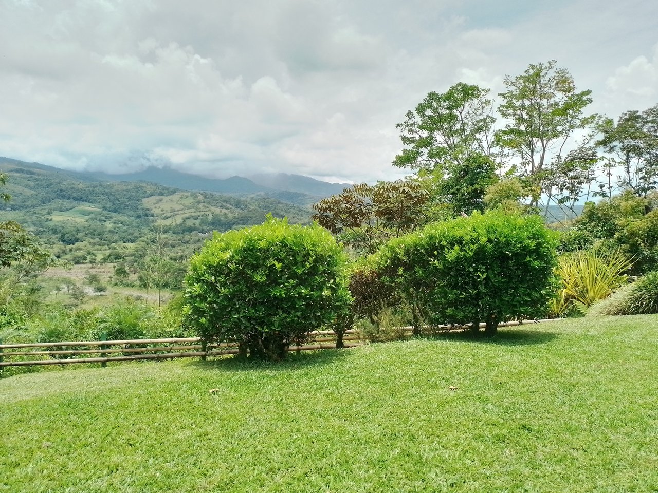 Coffee Farm Hacienda Estate, Perez Zeledon, San Jose