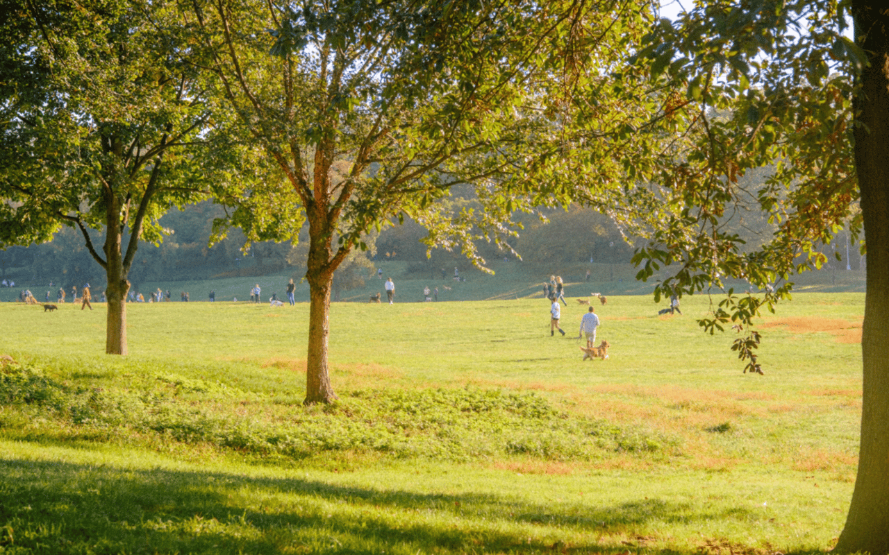 Dog-Friendly Spots in Park Slope, Brooklyn