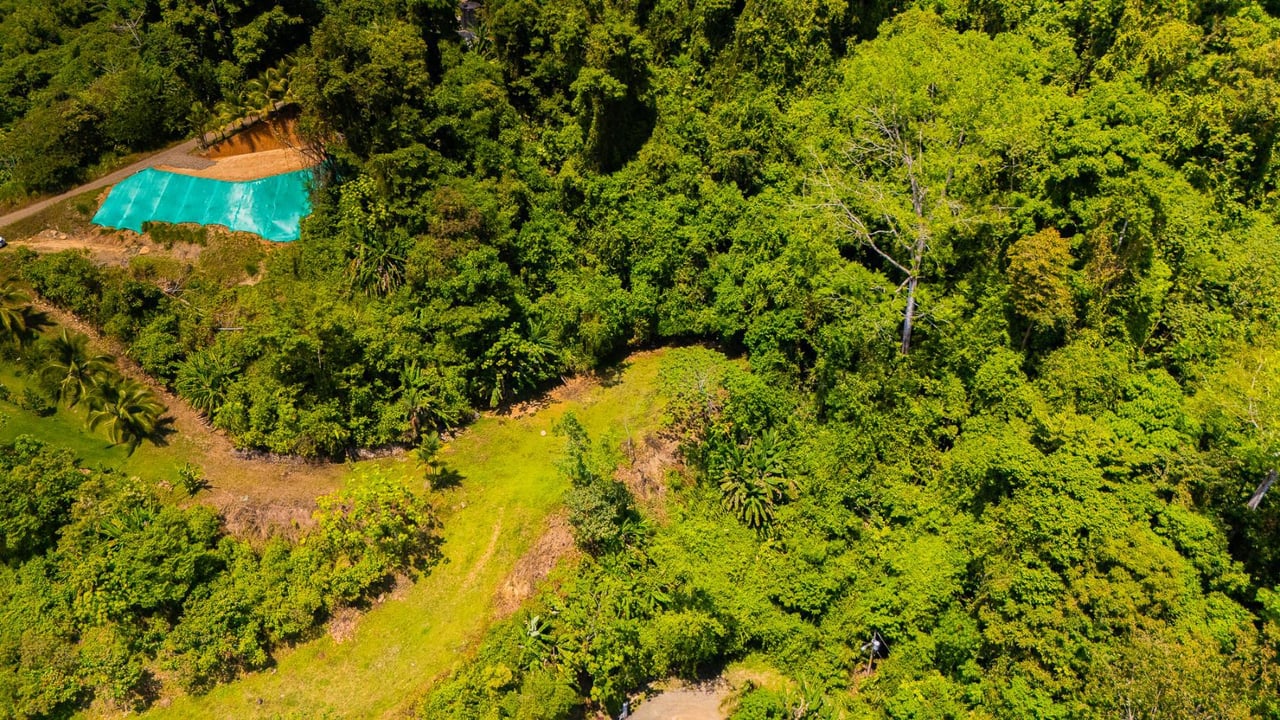 Ocean View Jungle Homesite, Ojochal, Puntarenas