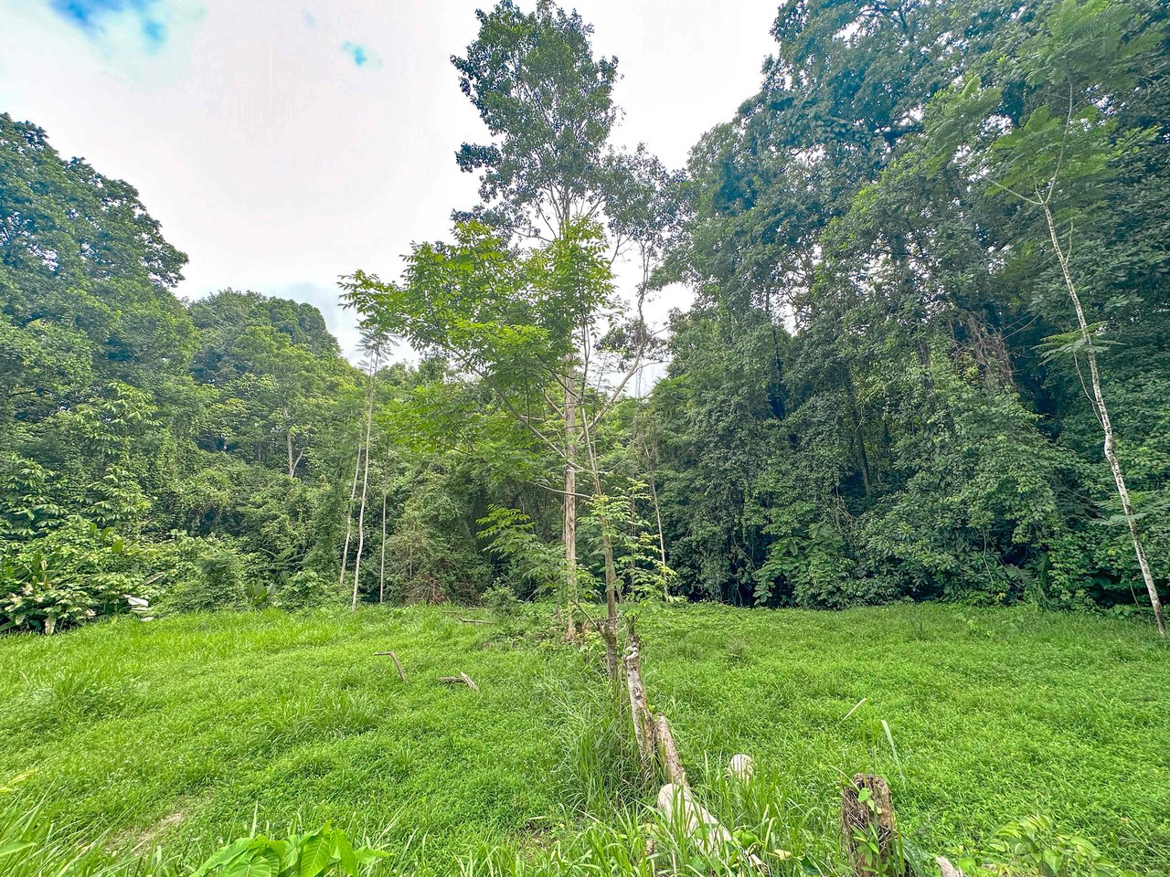 177 acre Ocean view property with multiple plantels, unspoiled mountain, jungle, river and waterfall areas