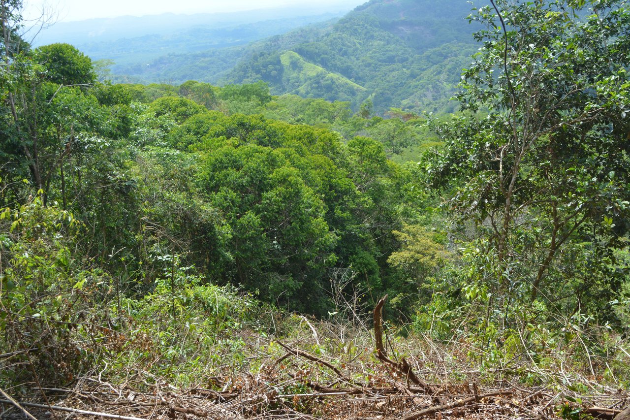 42 Acres With Waterfalls, Ocean Views & Multiple Building Sites Sliencio Ariba