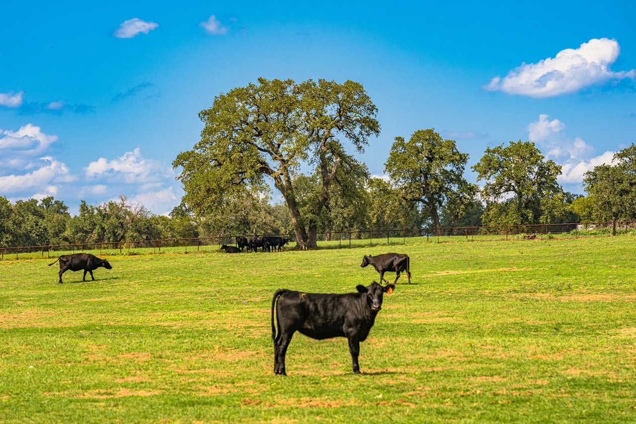 The Meadows at Middle Creek Development