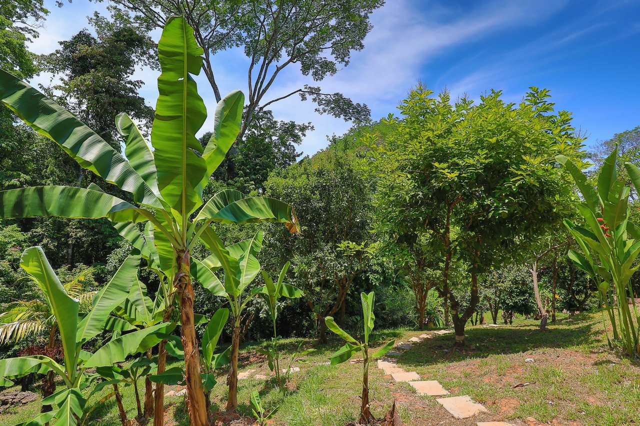 Rainforest Estate with Guest House, Dominical, Puntarenas