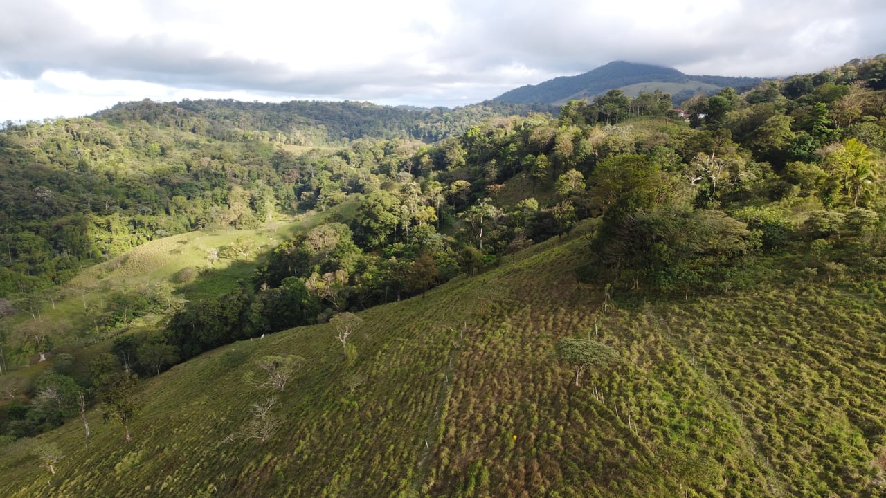 Colina del Tapir | Experience breathtaking views of Lake Nicaragua, with the majestic Concepcion Volcano against the backdrop of Ometepe Island!