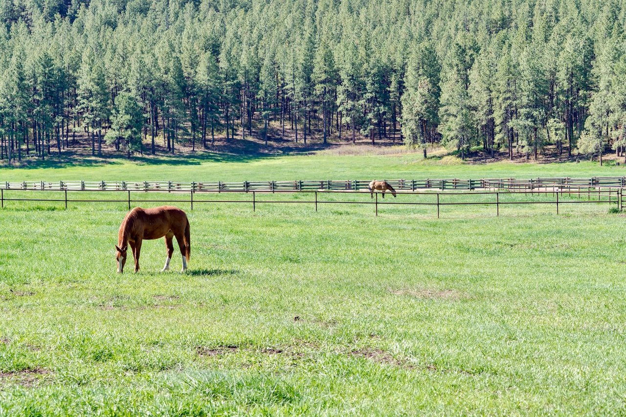 Pine Ridge Ranch