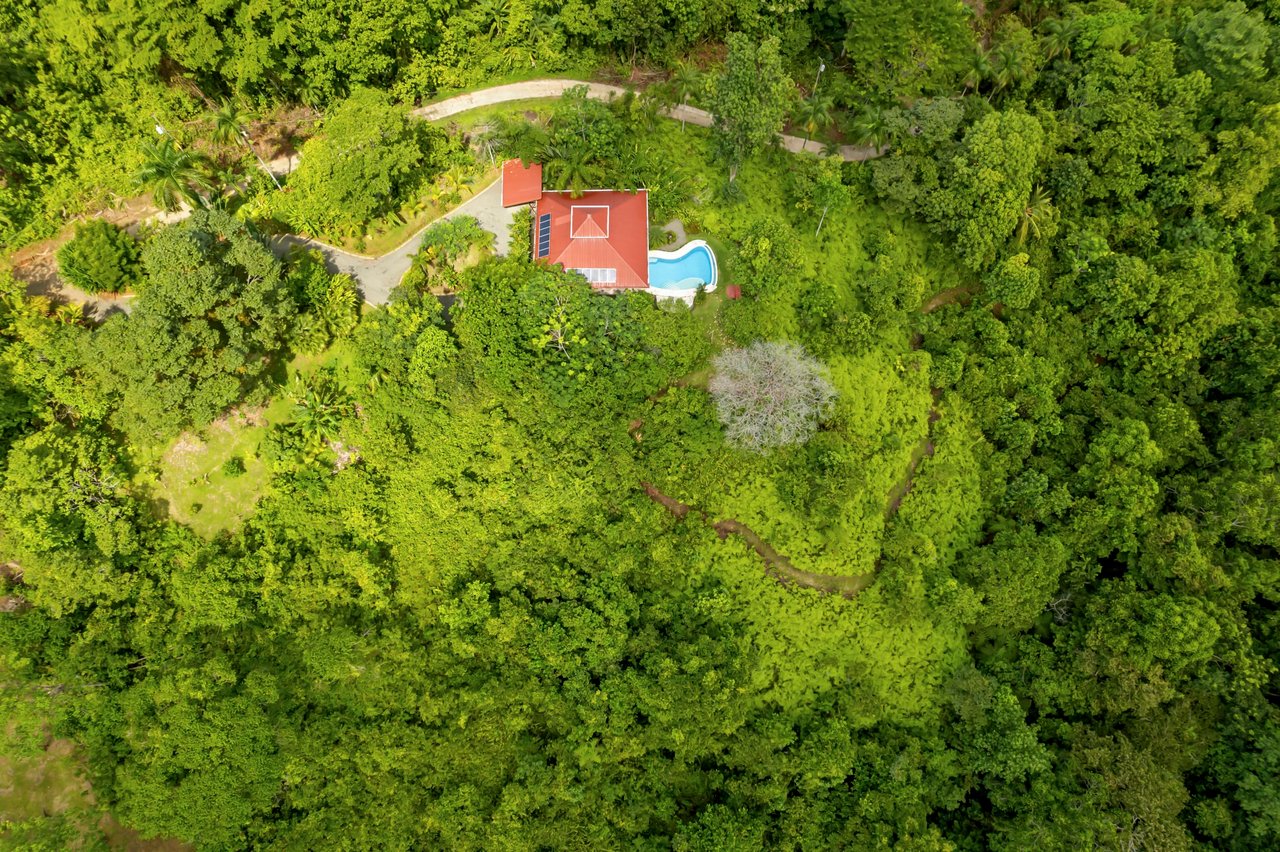 Casa Loro Verde,  Rainforest Jungle Retreat Home on 5.24 Acres in Portalon!