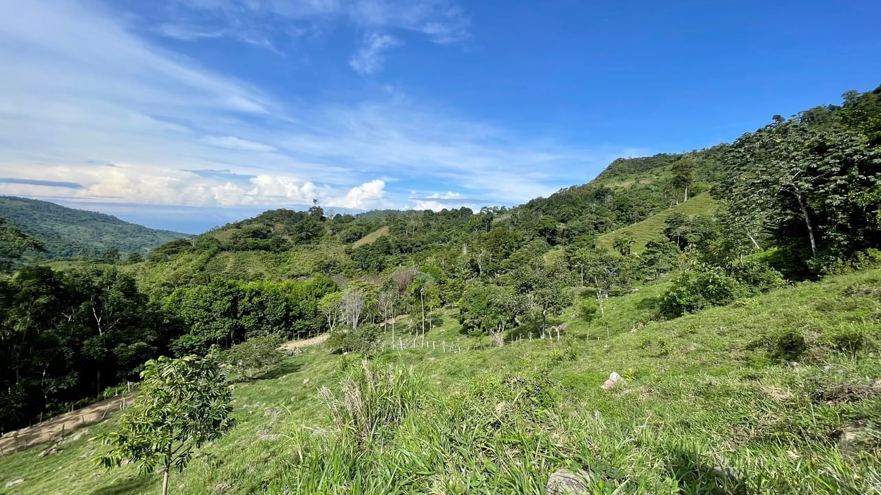 Stunning Ocean View Farm in San Luis de Morete, Over 23 Acres