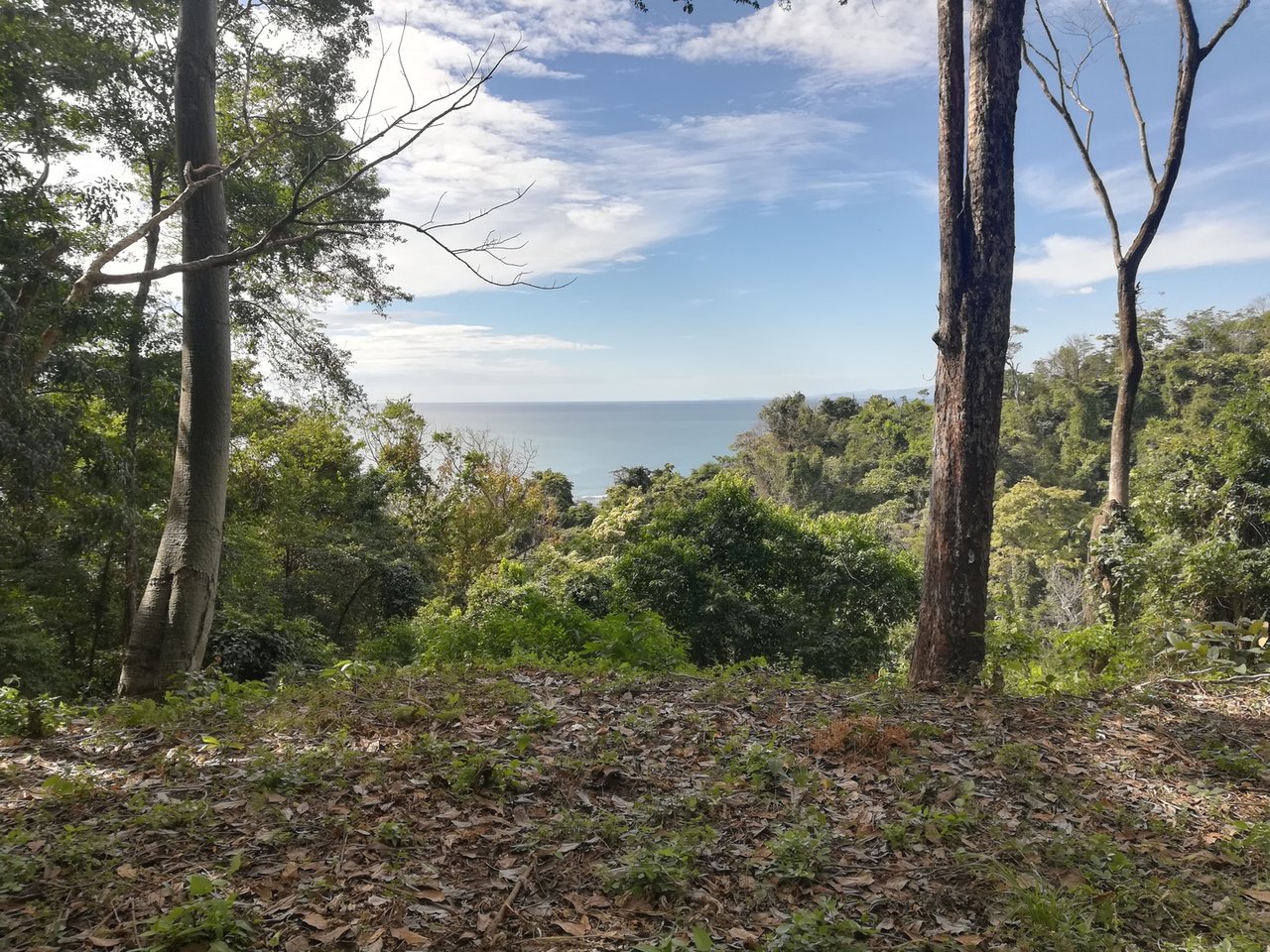Distinguished Ocean View Development Acreage, Santa Teresa, Puntarenas