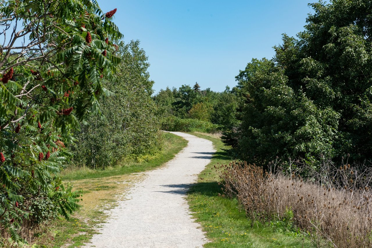 West Oak Trails image 4