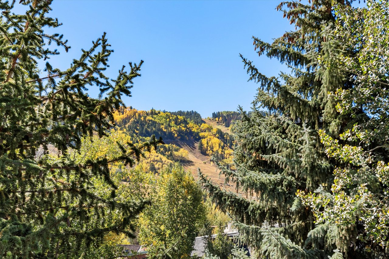 Perfect Aspen Retreat with Mountain Views and Walkable Convenience