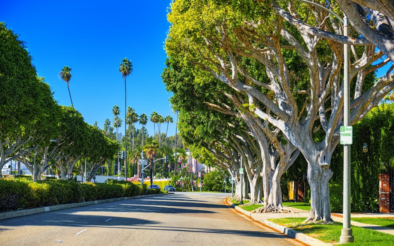 Hollywood Hills