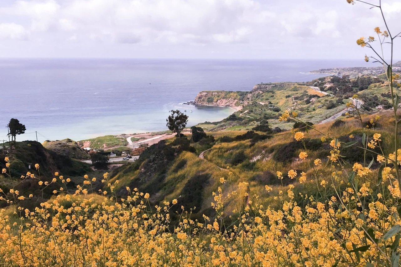 9 Reasons to Relocate to Palos Verdes Estates