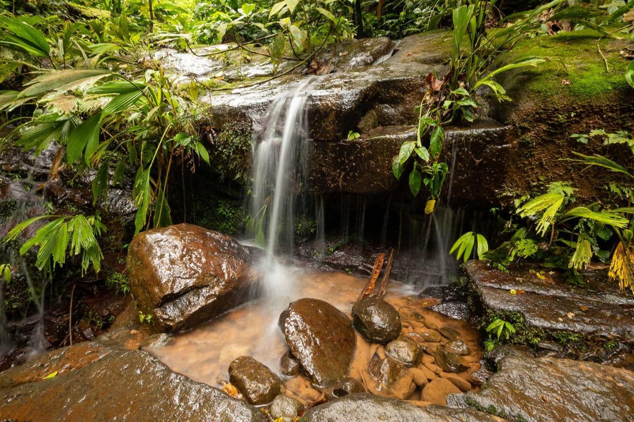 16.5 Acre, First Ridge, Fantastic Ocean Views, Private Swimming Holes