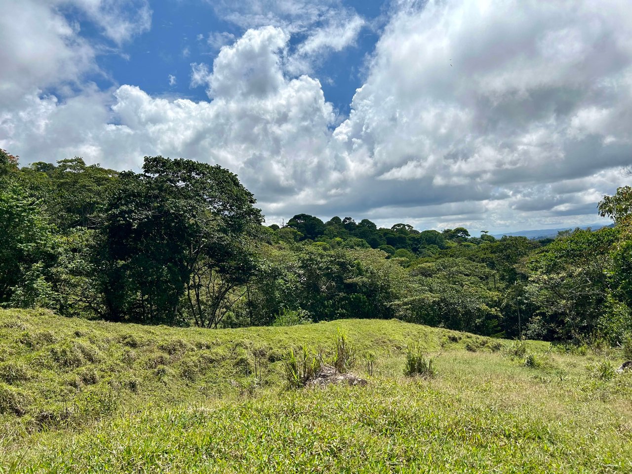 Hidden Gem: Serene Farm Retreat with Majestic Views in Costa Rica