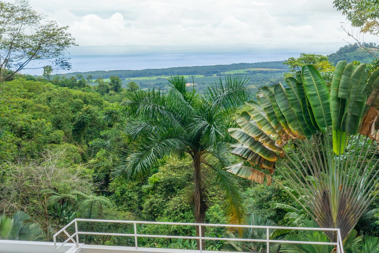 Modern Rainforest Estate, Manuel Antonio, Puntarenas