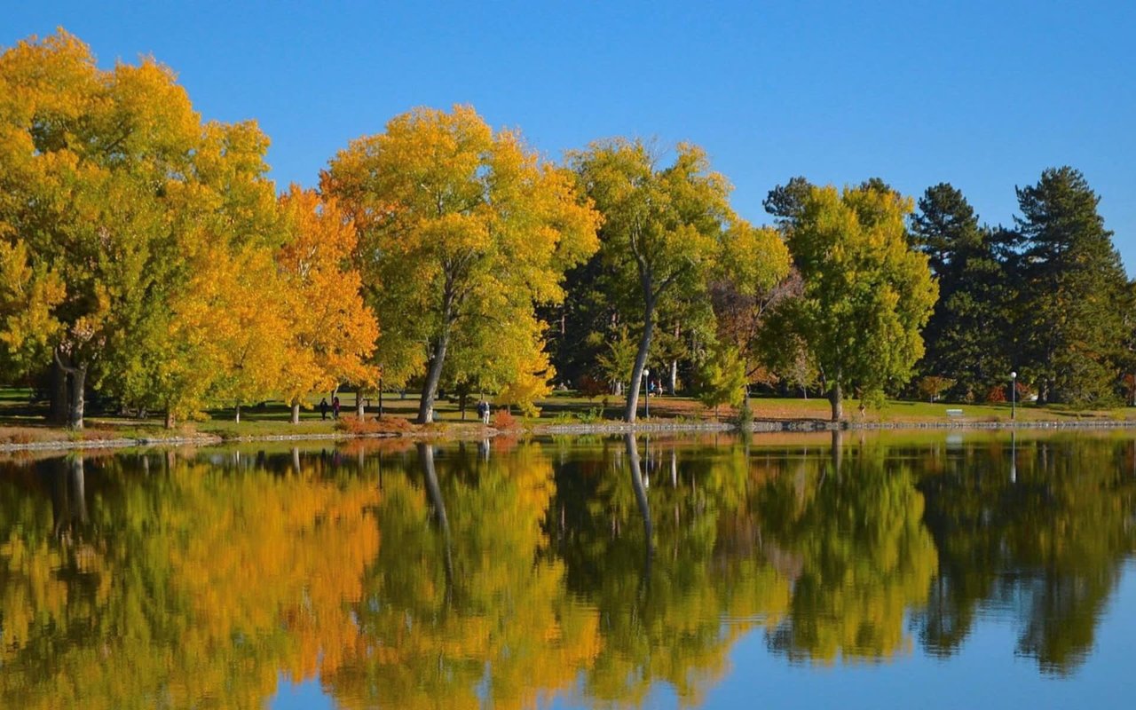 WASHINGTON PARK WEST