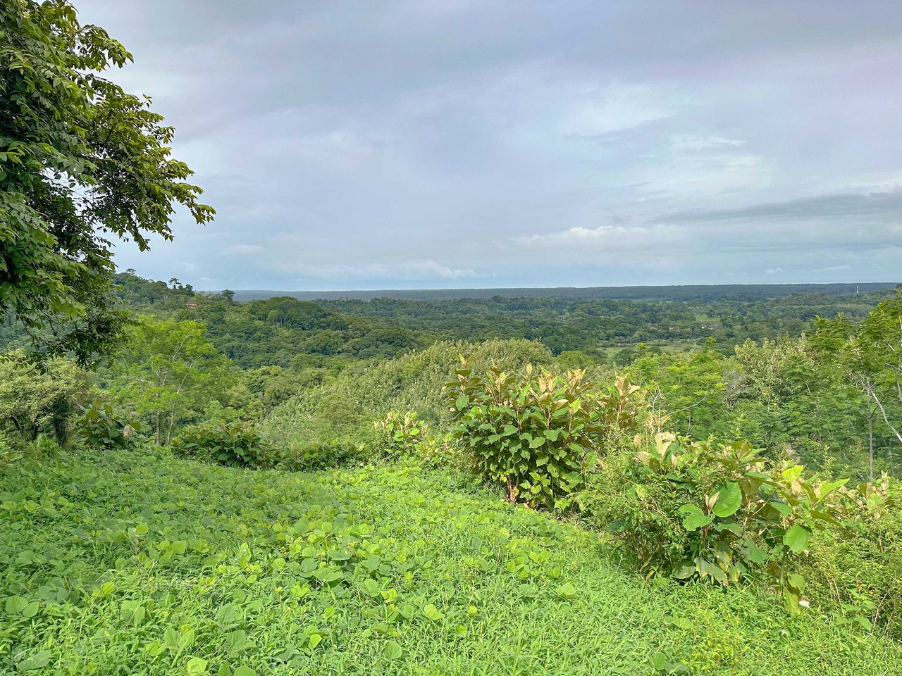 177 acre Ocean view property with multiple plantels, unspoiled mountain, jungle, river and waterfall areas