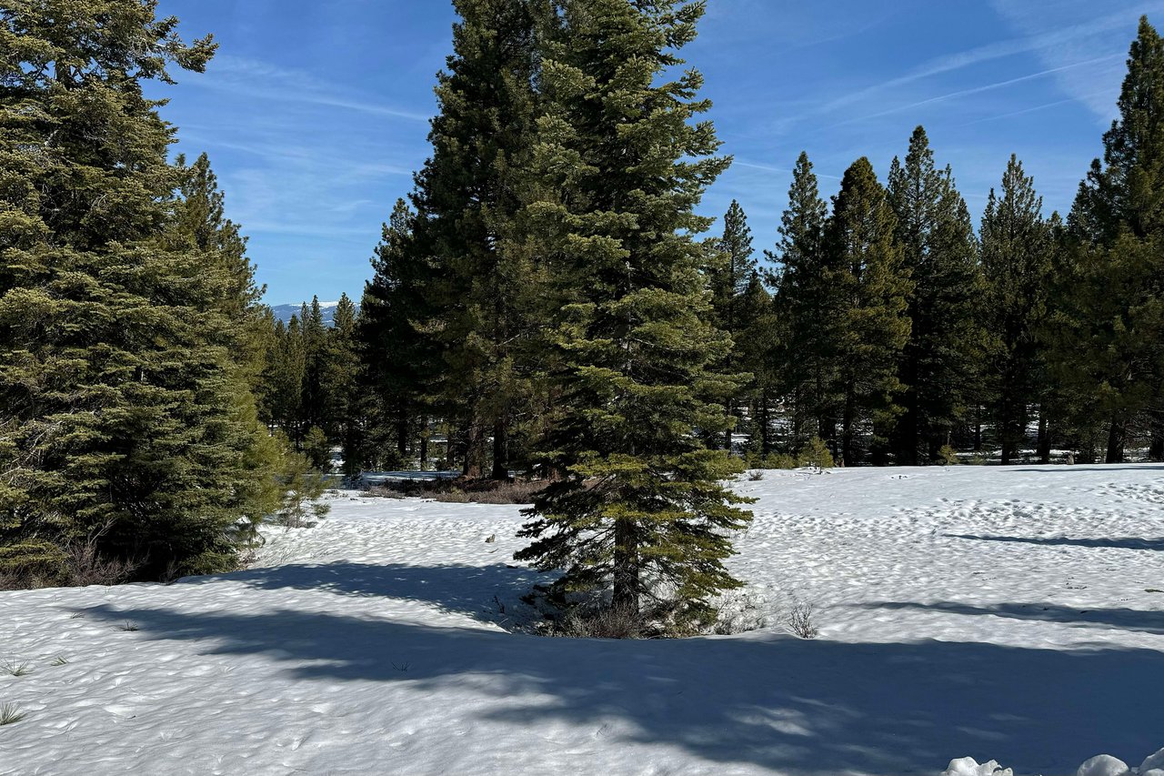 Truckee California Acreage Parcel 