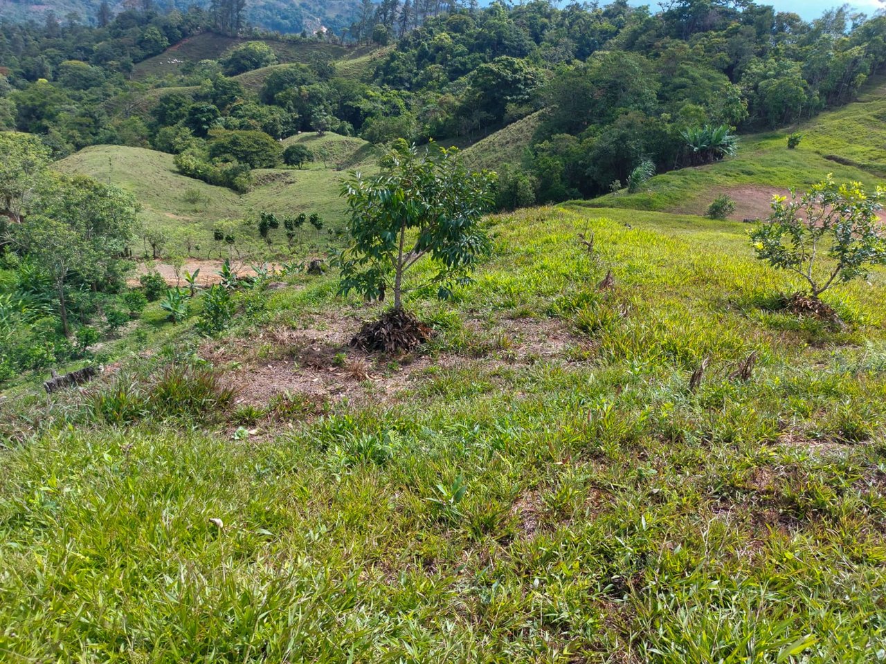 Ocean, Mountain and waterfall View Lot