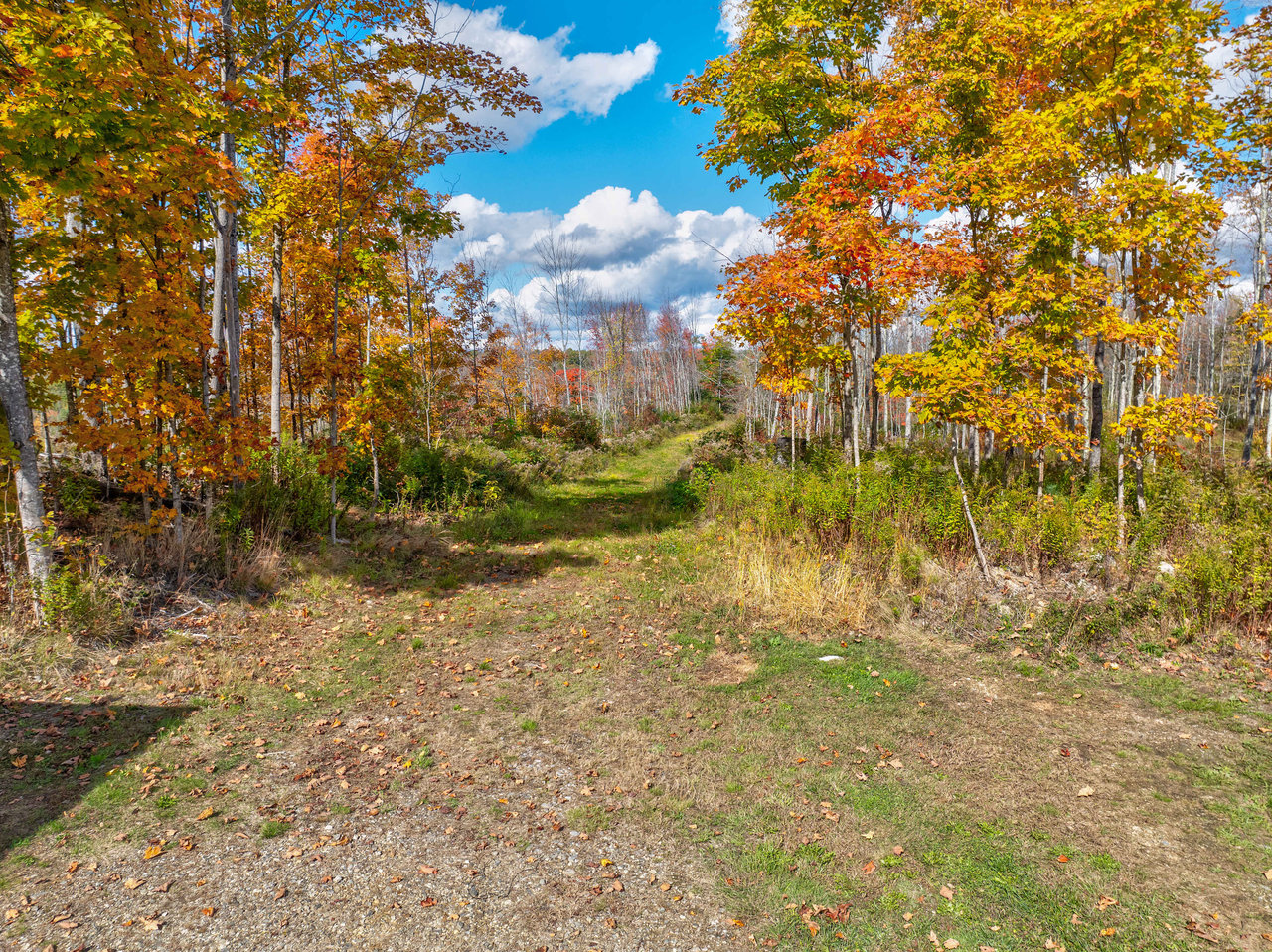 36.5 Acres in Bowdoin