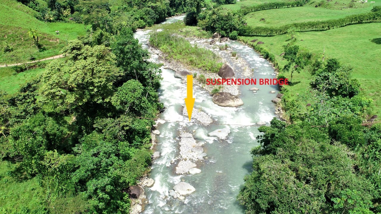 Riverfront Forest Farm, Perez Zeledon, San Jose
