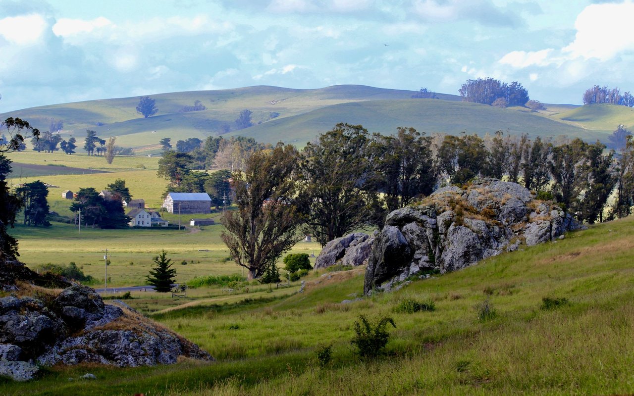 PETALUMA