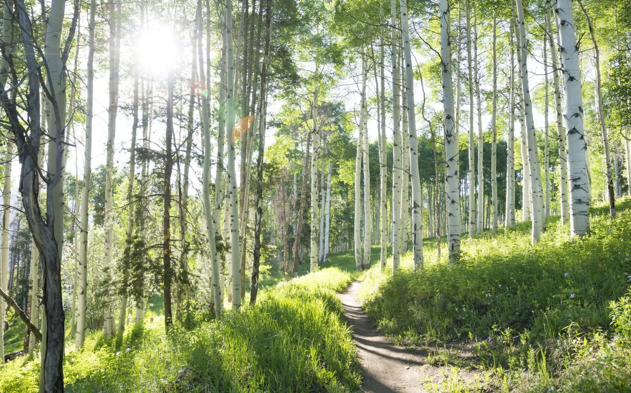 Favorite Day Hikes Within 30 Minutes of Sarasota