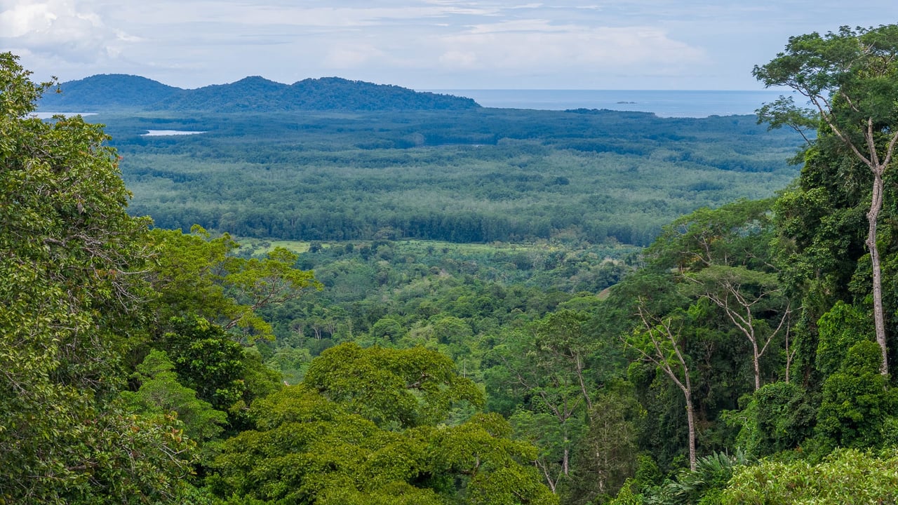 Costa Rican Gem with Conservation Potential: Preserve 26 Acres of Pristine Land