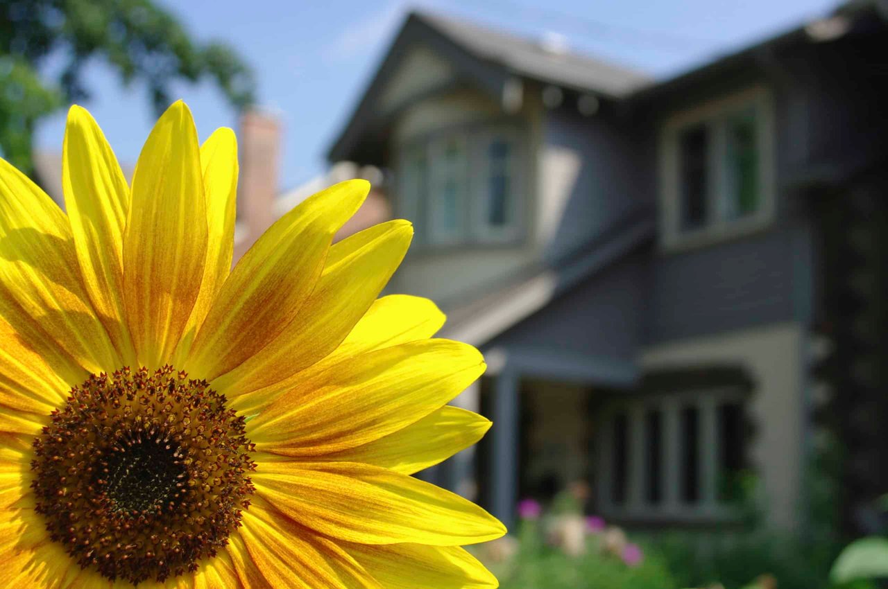 17 Seasonal Tips to Sell Your House in the Spring